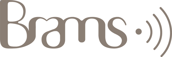 BRAMS Logo